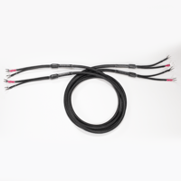 VooDoo Cable Evolution Speaker Cable variant 2