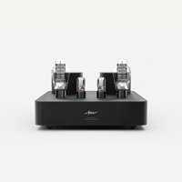 Fezz Audio Mira Ceti Mono Power Amplifier variant 7