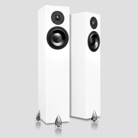 Totem Acoustic Forest variant 3