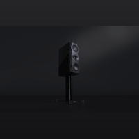 Perlisten S5m variant 4