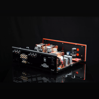 SW1x AMP II “Trident” Integrated Amplifier variant 8