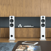 Triangle LN05A variant 12