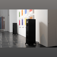 MartinLogan Motion Foundation F2 variant 24