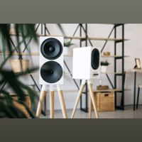 Buchardt Audio S400 MKII variant 10