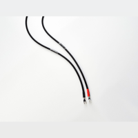 Jorma Audio Trinity variant 16