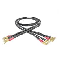 Tara Labs The Caprice II Bi-Wire variant 1