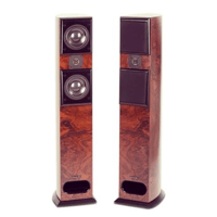 Acoustic Zen Adagio variant 1