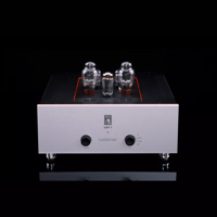 SW1x AMP V “Titan” Integrated Amplifier variant 11