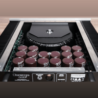 Bryston 28B Cubed Mono Amplifier variant 3