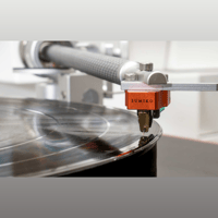 Sumiko Oriole variant 8