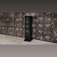 Sonus Faber Lumina V variant 7