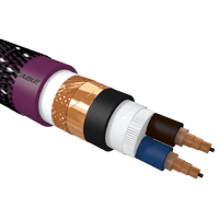 Furutech DSS-4.1 variant 1