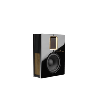 Steinway Lyngdorf Model S-15 variant 2