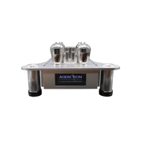 Audio Mirror ADDICTION power amp PSET mono blocks variant 1