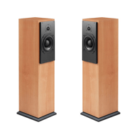 ATC - USA ATC SCM20ASLT Active Tower Speakers, Pair variant 3
