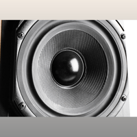 Vandersteen Quatro Wood CT variant 9