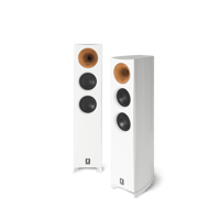 Zingali Acoustics 06 variant 1