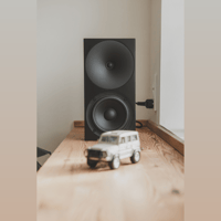 Buchardt Audio A200 variant 8