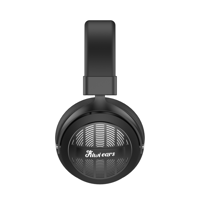 Kiwi Ears Ellipse variant 4