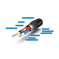 Pangea Audio Pangea Audio Premier XL True Balanced™ Interconnect XLR to XLR variant 1