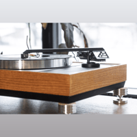 Supatrac Blackbird variant 6