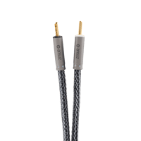 Ansuz Acoustics Speakz - Titanium variant 2