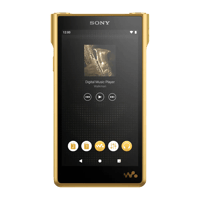 Sony NW-WM1ZM2 variant 4