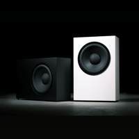 Buchardt Audio SUB10 variant 8