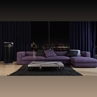 Steinway Lyngdorf Head unit processor variant 5