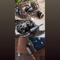 FiiO LF-RB variant 17