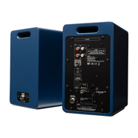 Argon Audio FORTE A4 WIFI variant 6