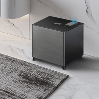 MartinLogan WSK-1 variant 5