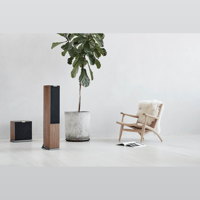 Audiovector R Sub variant 12