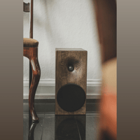 Buchardt Audio E50 variant 19