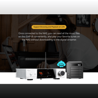 Cayin iDAP-8 variant 4