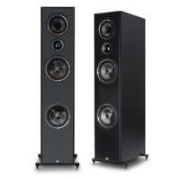 psb Speakers Imagine T65 - Tower variant 1