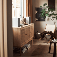 Argon Audio FORUS 5 variant 20