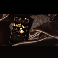 Cayin N8ii variant 20