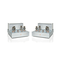 Black Ice Audio Fusion F100 Mono Block Tube Power Amplifier(Pair) - 175 WPC* variant 2