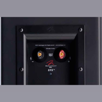 MartinLogan EFX variant 3