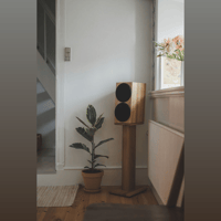 Buchardt Audio Anniversary 10 variant 20