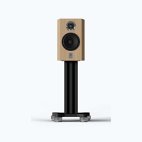 Marten Dexter Duo variant 15