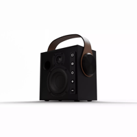Morel Hifi BIGGIE variant 16