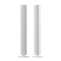 Piega usa Ace 50 Wireless Floorstanding Speakers [Pair] variant 15