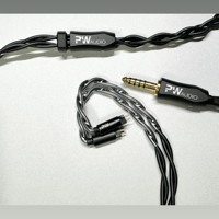 Oriolus PW AUDIO JUHTRUM [PWA-Drum-JSP] variant 5