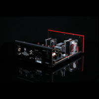 SW1x DAC II variant 9