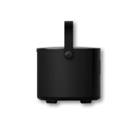 BRANE AUDIO Brane X variant 3