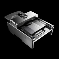 Esoteric Grandioso P1X SE variant 4