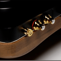 Gold Note mediterraneo-x variant 5