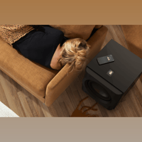 Perlisten D12s variant 5